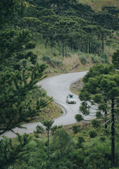 Carro em estrada cheia de curvas com araucárias em Bom Jardim da Serra, Santa catarina 