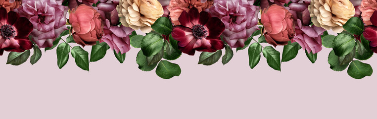 Panele Szklane  Floral banner, header with copy space. Pink roses, anemone, ranunculus isolated on pink  background. Natural flowers wallpaper or greeting card.