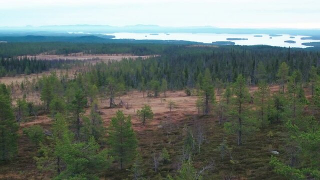 Aerial footage of lake and forrest, in Lapland, Finland