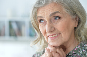 Close up portrait of beautiful senior woman