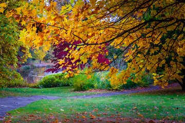 autumn in the park