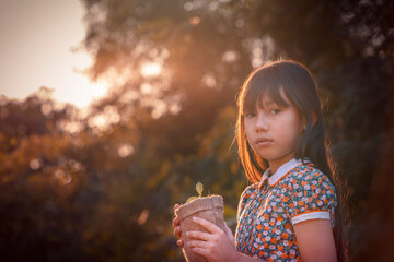 Young plant and girl. Little cute Girl give small plant to Sunshine.