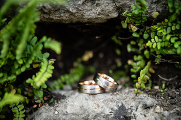 Eheringe für Heirat von Ehepaar liegen in der Natur