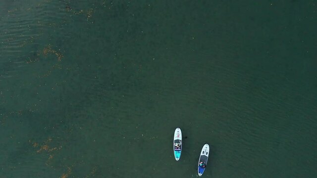 Aerial footage of a couple stand up paddle boarding on a shallow green river in Cornwall
