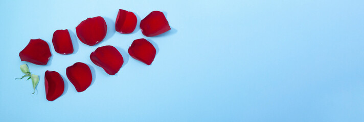 Rose petals on a blue background with space for text.