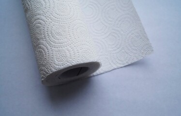 roll of toilet paper