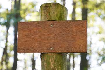 Wooden signboard in the forest. Without a label. Blank.