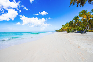 magical paradise beach of the Caribbean sea
