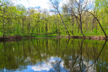 Fototapeta na wymiar View of a beautiful lake in a green forest