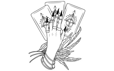 hand drawn flower and taro