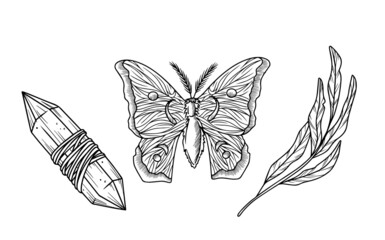 hand drawn illustration black and white butterfly