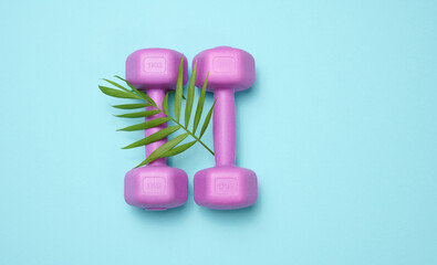 two purple plastic kilogram dumbbells on a blue background, top view. Sports Equipment