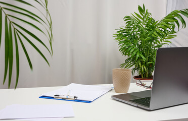 White table with laptop and pots with plants, freelance workplace