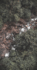river nature photo 