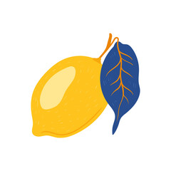 Lemon. Tropical fruit and graphic design elements. Ingredients color cliparts. Sketch style smoothie or juice ingredients.