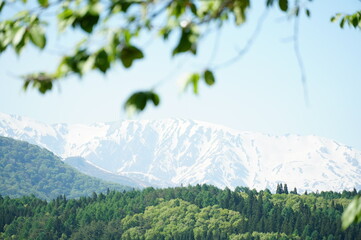 信州、北アルプス、青木湖。こんな晴れた日に巡り合えた。