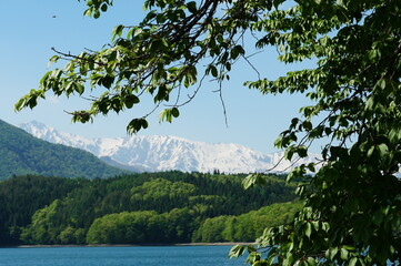 信州、北アルプス、青木湖。こんな晴れた日に巡り合えた。