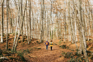 Two senior female friends hiking together through the forest in autumn