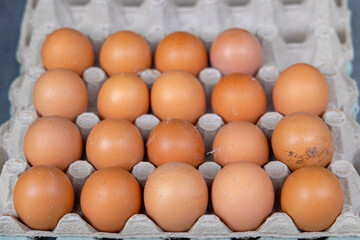 Farm Eggs Carton