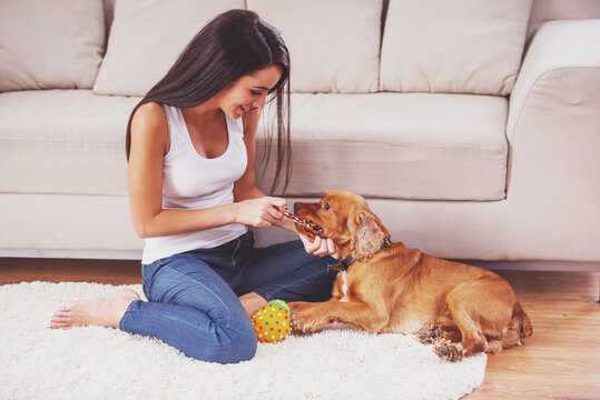 Looking After Pets 101: The Ultimate Guide to Keeping Your Furry Friends Healthy and Happy