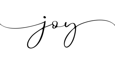 JOY, brush calligraphy banner. Vector calligraphy phrase. Continuous line cursive text joy. Lettering illustration for poster, card, banner or t-shirt. Hand drawn motivation 