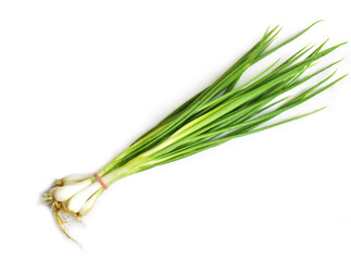 bunch of fresh chives