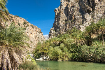 Fototapeta na wymiar Exotic palm groves at the end of the Preveli gorge where the Megas river encounters the Libyan sea, in a secluded white sand beach, Crete, Greece