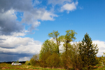 Obraz premium Green landscape with a car in a summer day