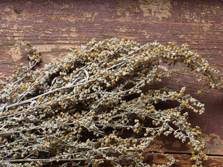 dry medicinal plant wormwood close up