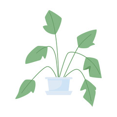 Tropical plant for interior decor semi flat color vector item. Realistic object on white. Big potted plant for home isolated modern cartoon style illustration for graphic design and animation