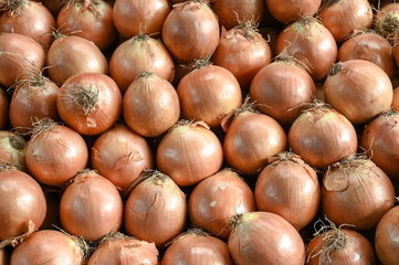 Onion for sale at vegetable market, close up. Boxes full of onions in shop. Onions at the greengrocer's stall. Vegetable.