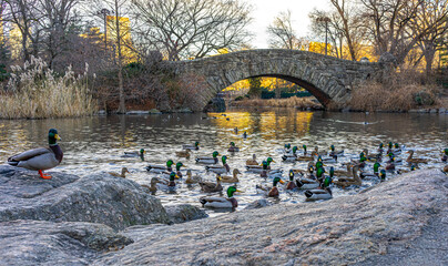 Gapstow Bridge in Central Park snow storm