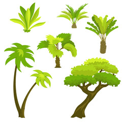 Palm trees and tropical plants vegetation icons set. Vector illustration isolated on white background.