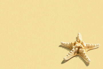 Single starfish isolated on artificial sand background