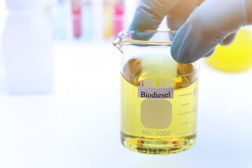 Biodiesel experiments from natural raw materials in the laboratory