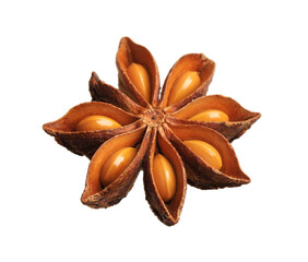 Dry anise star with seeds isolated on white