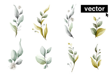 Set of herbal branches. Clear vector green and dim leaves, and flowers.