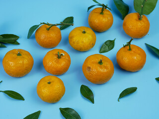 orange or Citrus sp with leaves isolated on blue background