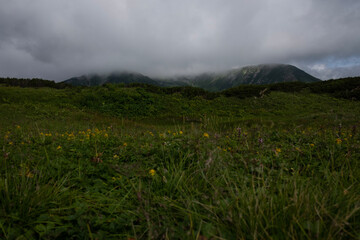 fog in the mountains
