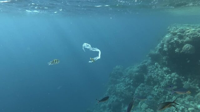 Plastic pollution - A piece of plastic bag drifting near coral reef, gradually collapsing and turns into microplastics . Plastic garbage environmental pollution problem. 