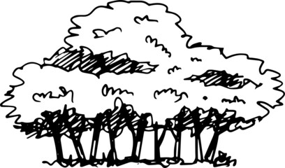 illustration tree sketch icon