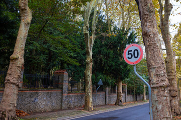 Speed limit sign. 50 kph or mph speed limit sign in the tree lined road.