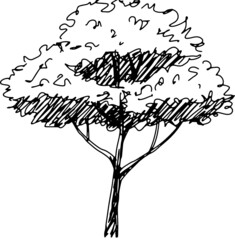 illustration tree sketch icon