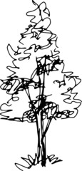 illustration tree sketch icon
