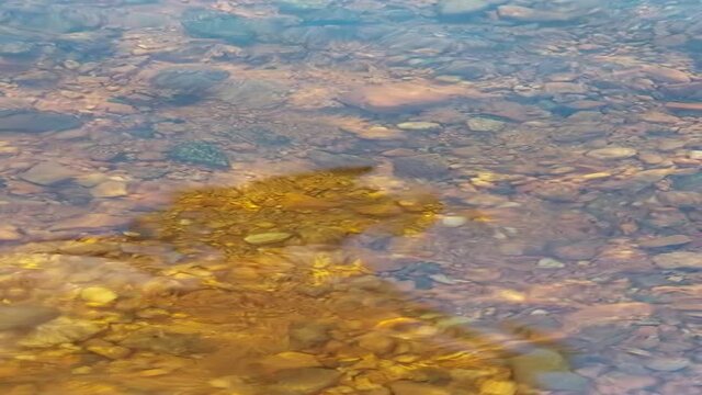 flowing river with freshwater and bottom with pebbels