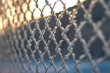 Metal grid in hoarfrost with blur Bokeh effect. Ice on chain-links, metal fence in winter time,...