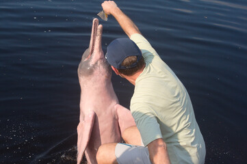 Feeding the pink doplphin