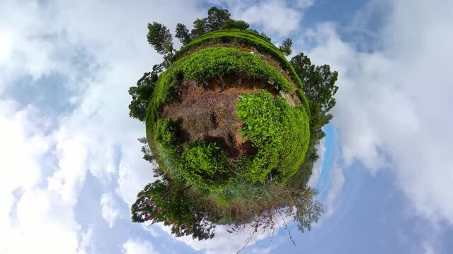 Tea plantations on the slopes of the mountains. little planet view. Sri Lanka. Tea estate.