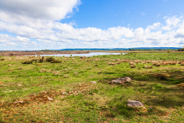 Fototapeta na wymiar Beach meadow by a lake and a view to the horizon