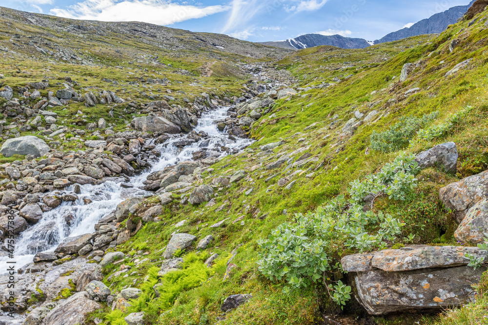 Poster Rapid river in a mountain ravine